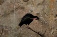 /album/fauna-a-flora/zoo056-jpg/