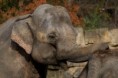 /album/fauna-a-flora/zoo075-jpg/