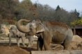 /album/fauna-a-flora/zoo090-jpg/